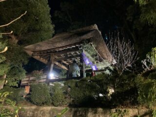 今年も残り少なくなってきましたね。
大晦日の「除夜の鐘」のお知らせです。
12月31日午後11時50分より翌年午前1時まで
志納金200円です。
時間で明かりを落としますので時間厳守でお願い致します。
#西方寺#横浜西方寺#新羽#除夜の鐘#お正月