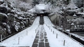 久しぶりの雪景色でした
#西方寺 #横浜西方寺 #新羽 #雪景色#冬景色